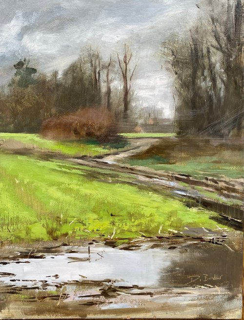 Flooded field by David Barber