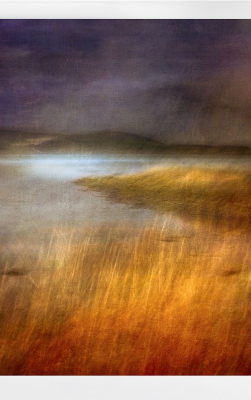 The Fabric of the Land II by Lynne Douglas