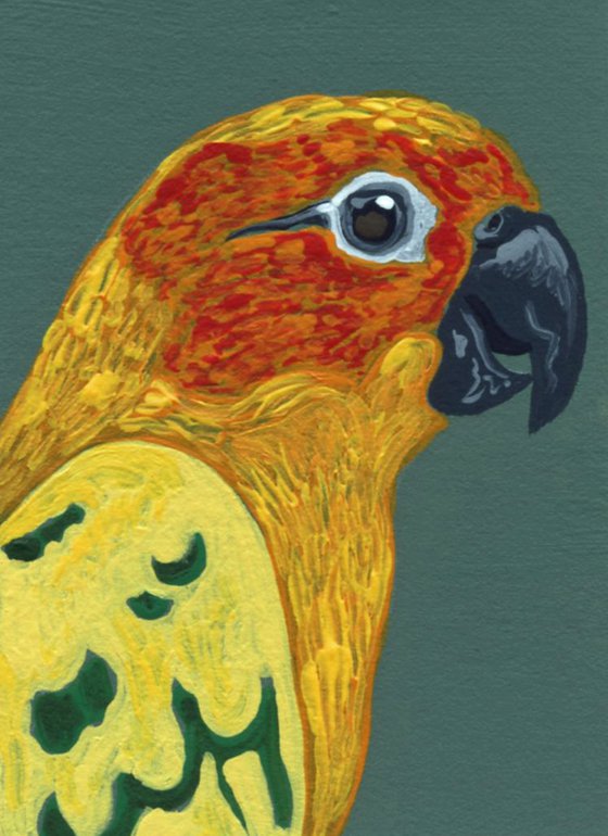 ACEO ATC Original Miniature Painting Sun Conure Parrot Pet Bird Art-Carla Smale