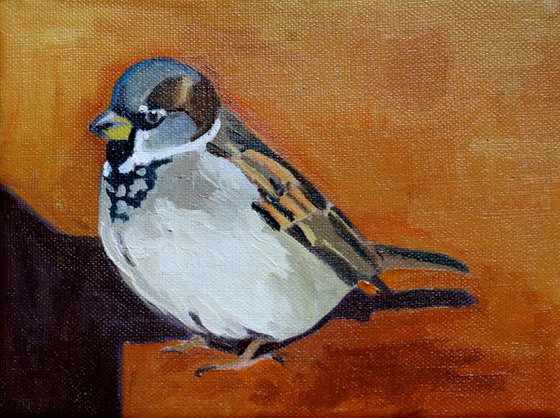 Spring Sparrow #3