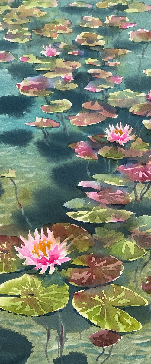 Water Lily by Egle Lipeikaite