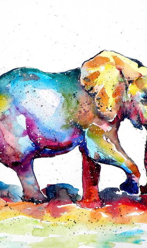 Colorful elephant V. by Kovács Anna Brigitta