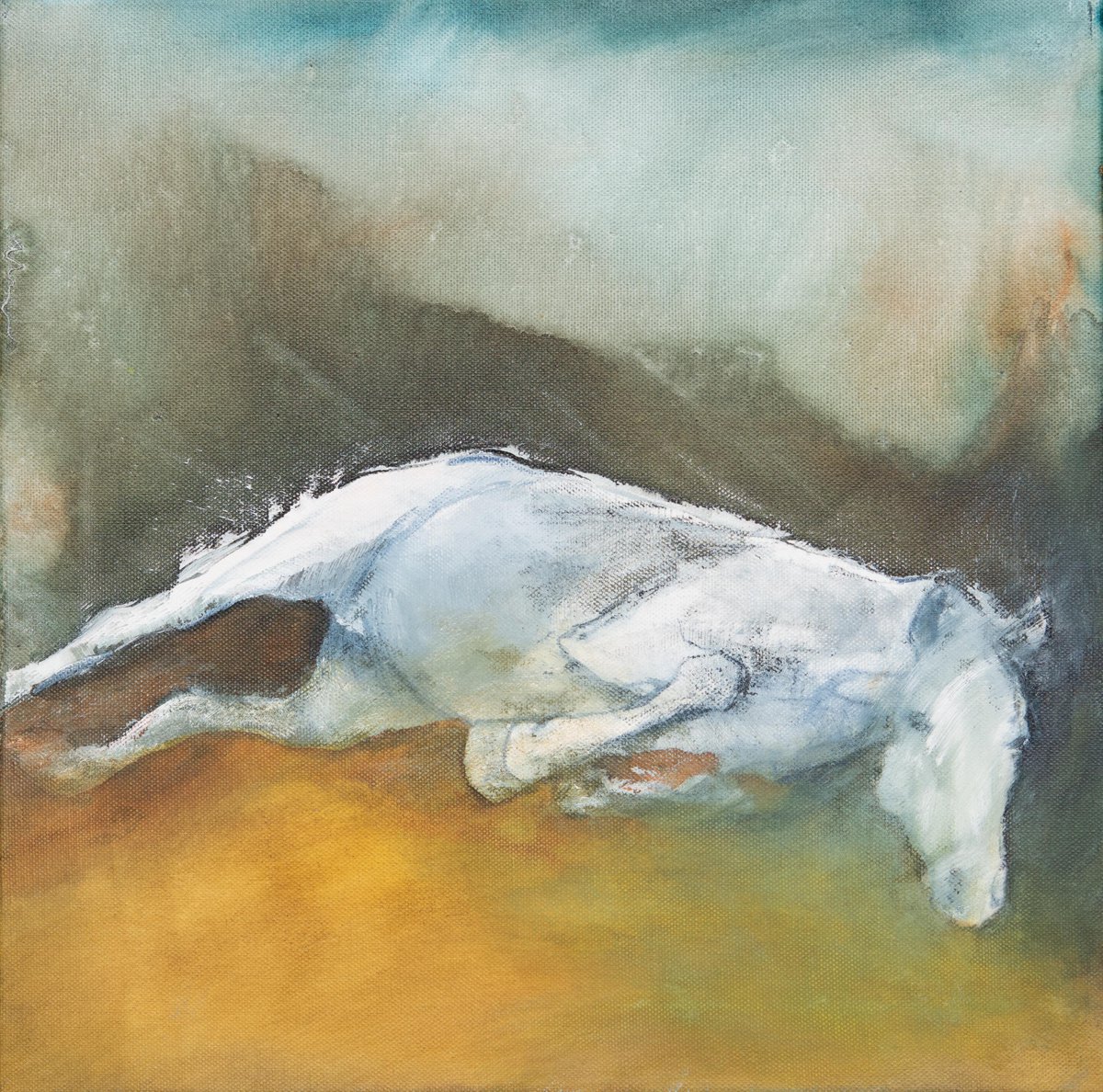 Horse Study 3 by Margit Platny
