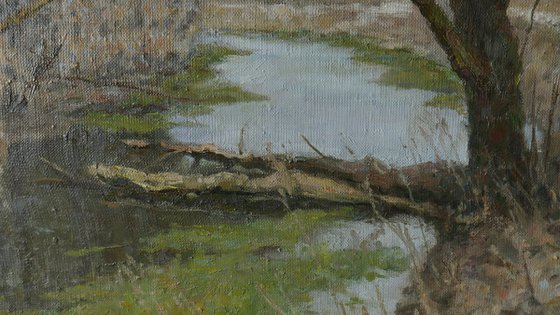 The Old Willow - spring river landscape