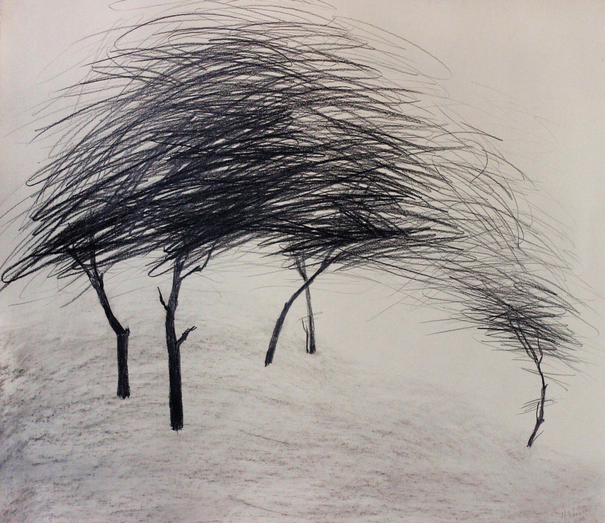 Wind by Natalia Chekotova
