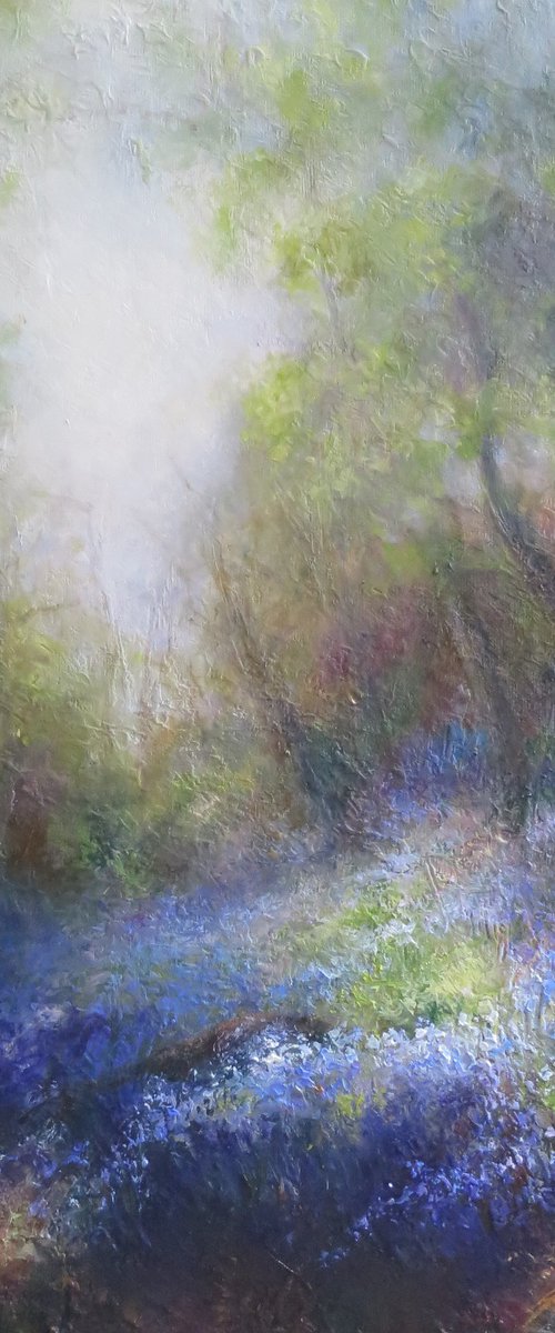 Softened  Light Through Leaves - Bluebells in Early Spring . Wade Wood Nr Wainstalls , Yorkshire by Hannah Kerwin