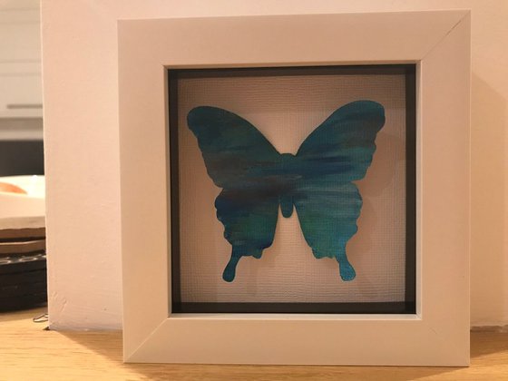 Single butterfly - Ocean Blues