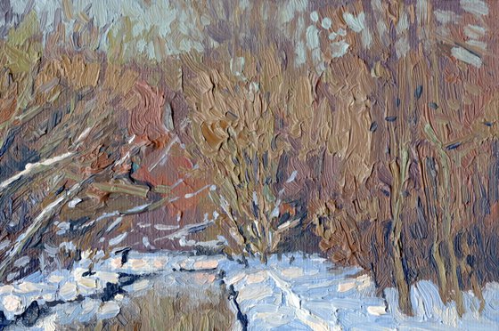 February sun. Churilikha River