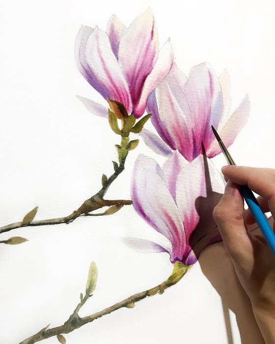 Magnolia Flowers