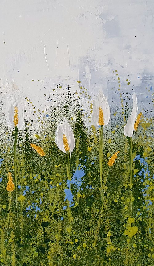 THE LILIES FIELD by Cinzia Mancini