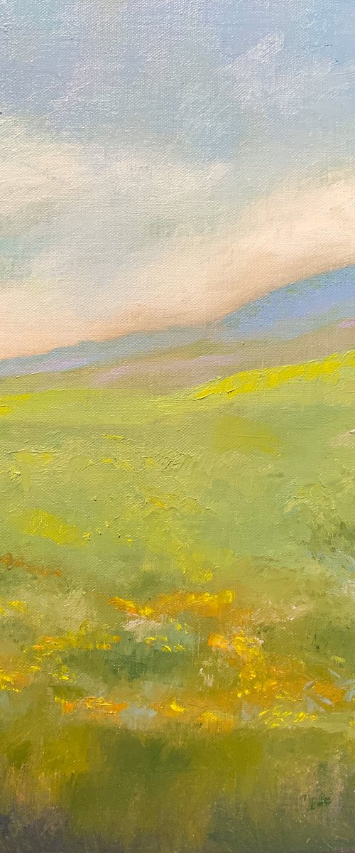 Flower Field by Jessica Davidson