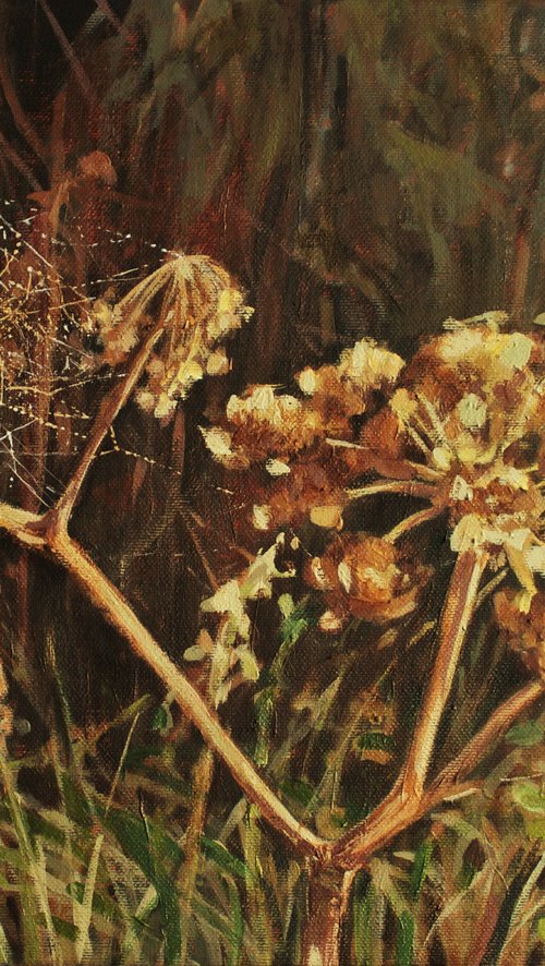 Hogweed by Joanna Plenzler