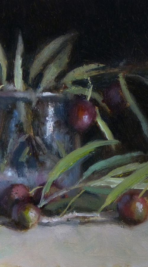 Olive Branch by Pascal Giroud