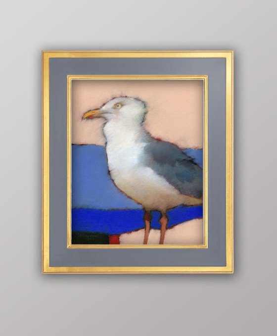 Herring Gull 1