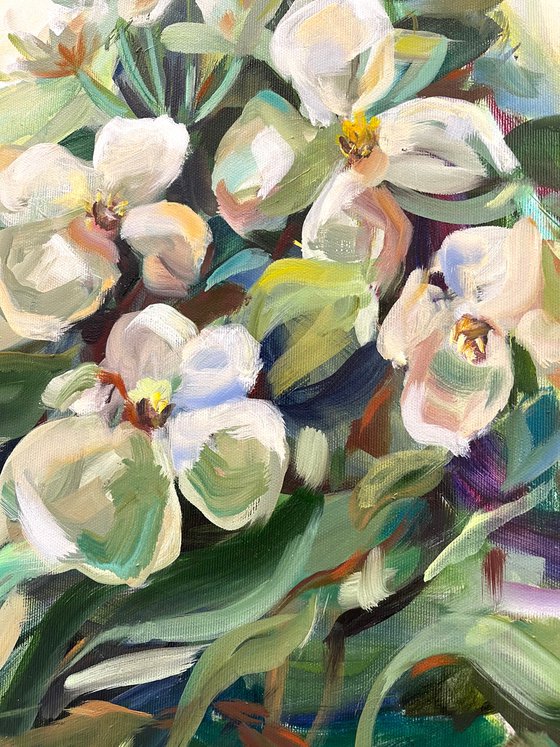 The magic of Jasmines.  Floral