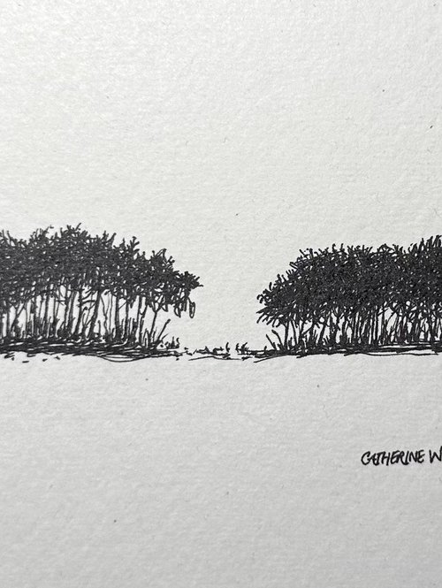 Trees in Pen and Ink - Norfolk Landscape English Countryside by Catherine Winget