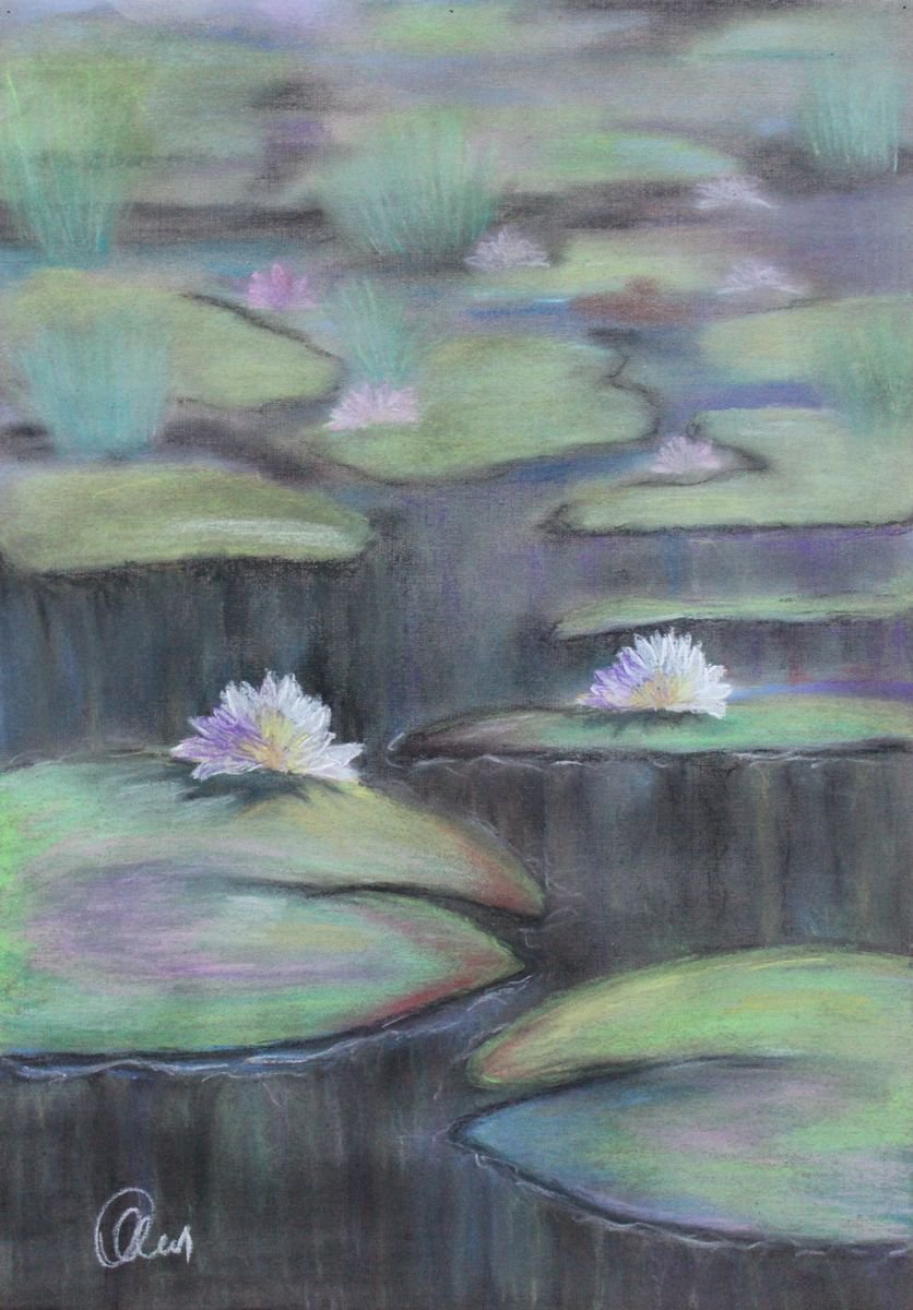 Water lilies by Olga Sennikova