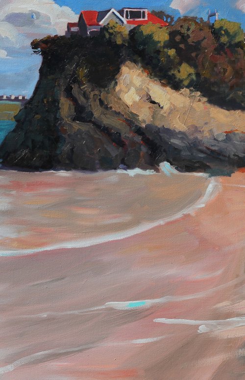 Spring on a Newquay beach by Joe Mcdonald