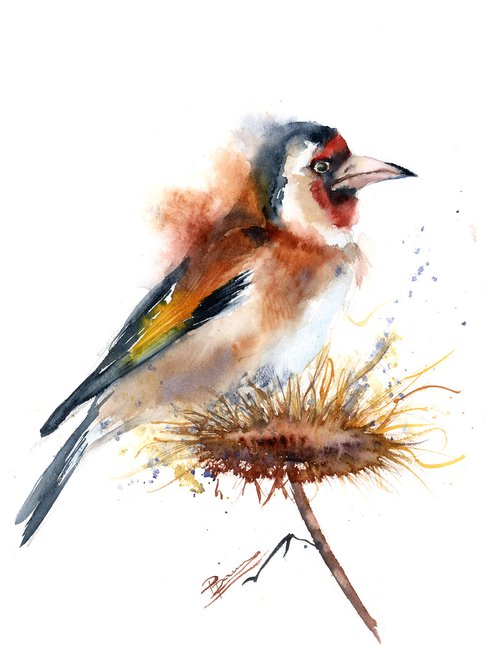 European goldfinch by Olga Shefranov (Tchefranov)