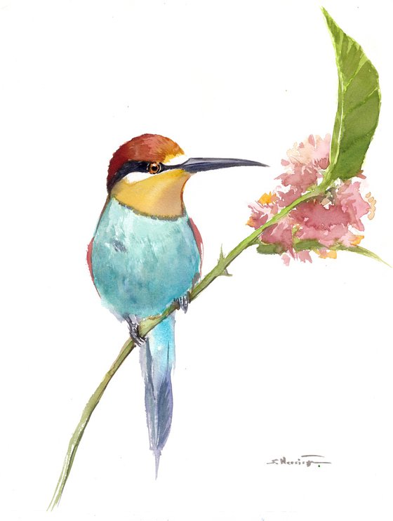 Bee-Eater