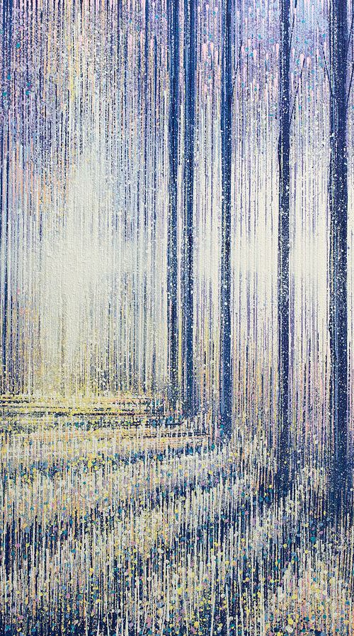 Evening Light Falls In The Forest by Marc Todd