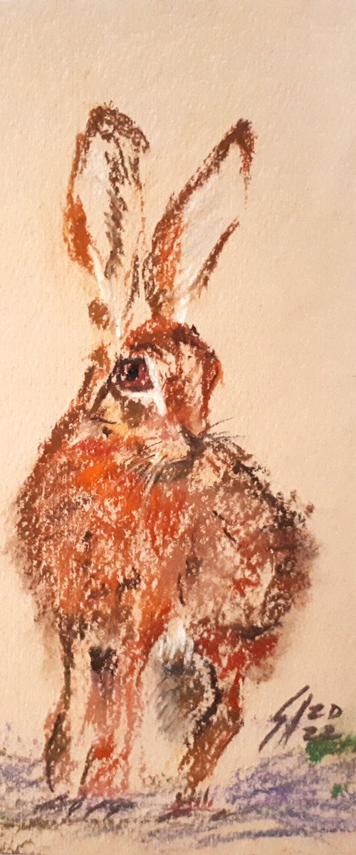 Hare... pastel sketch /  ORIGINAL PAINTING by Salana Art Gallery