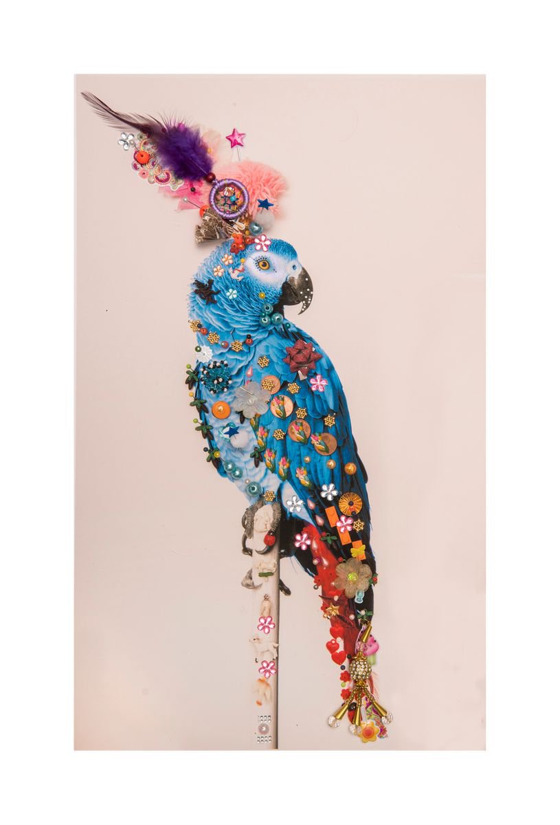 Urban And Pop Animal Photograph By B-Brown & Scheinmann, 31 X 44, P7 (Large Size), Original Artwork