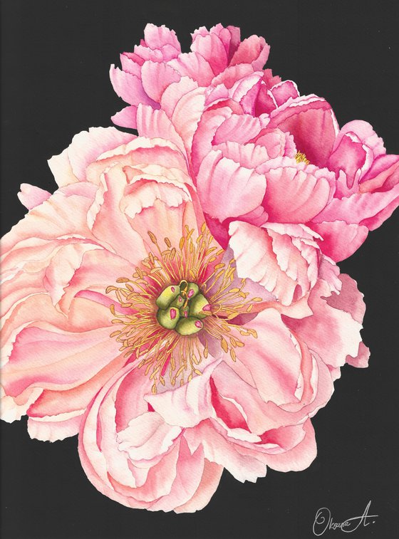 Whispering Peonies