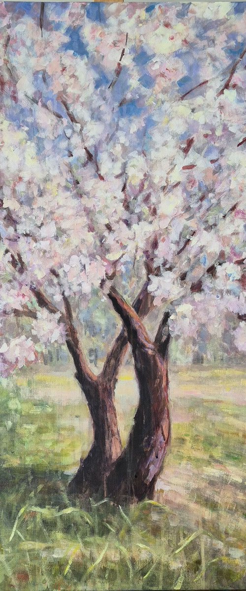 Almond Tree by Tatiana Kyriakidou
