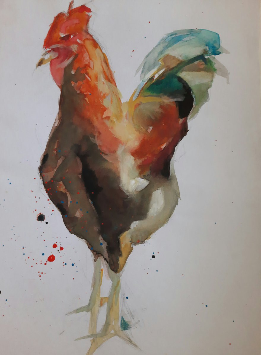 ROOSTER by Boro Ivetic