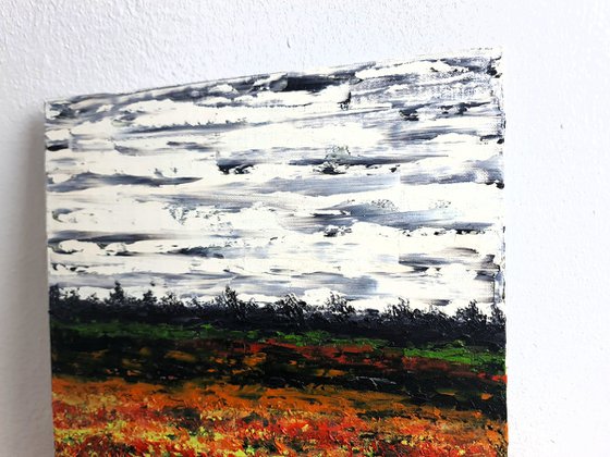 Meadow after rain 2