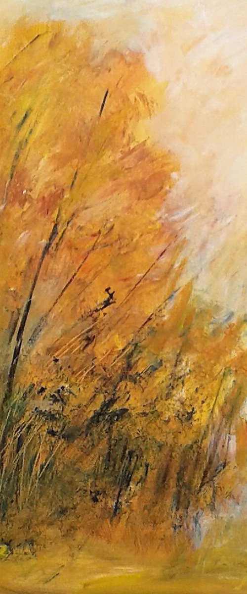Richmond Park, Autumn by Jan Rippingham