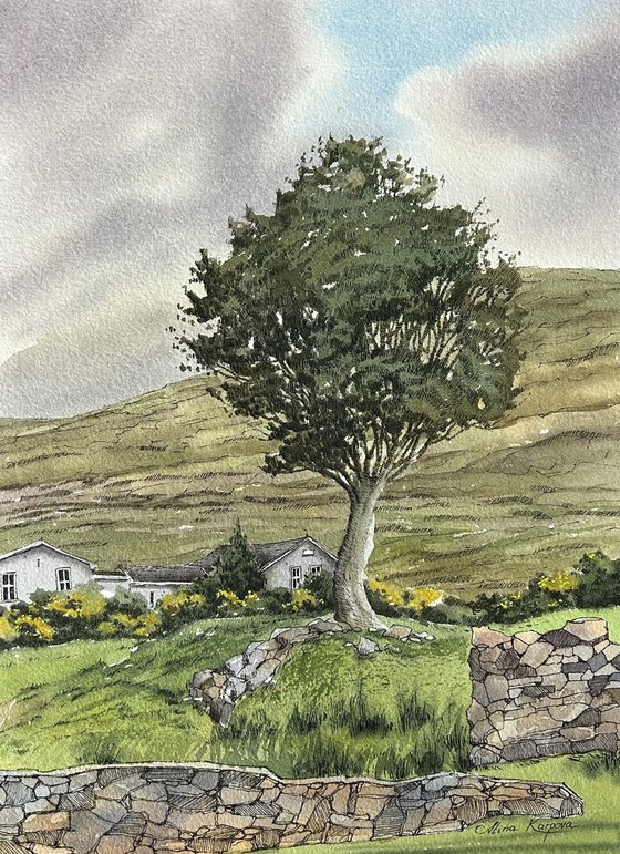 Landscape of Co.Galway