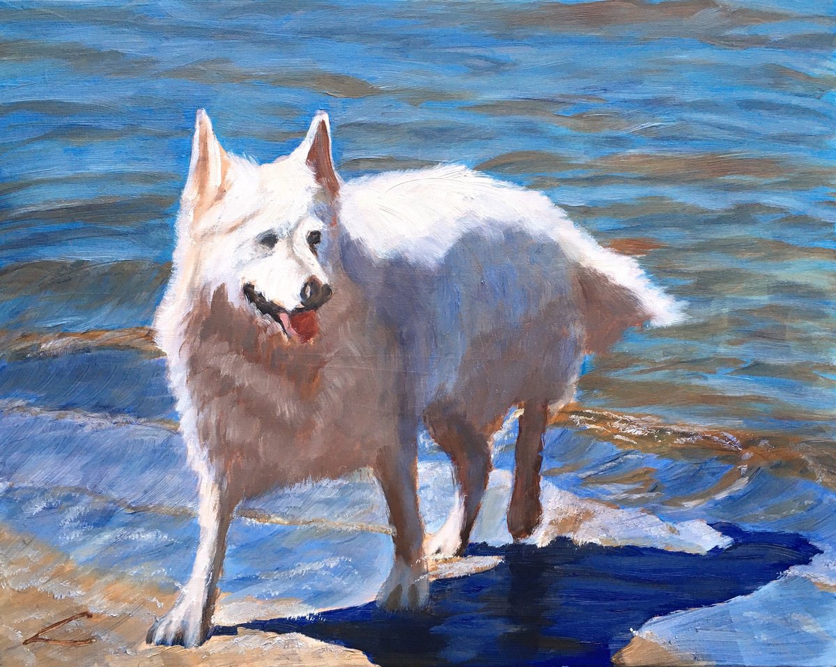 Impressionistic Animal Oil Painting By Elena Sokolova, 20 X 16, Dog At The Sea 10, Original Artwork