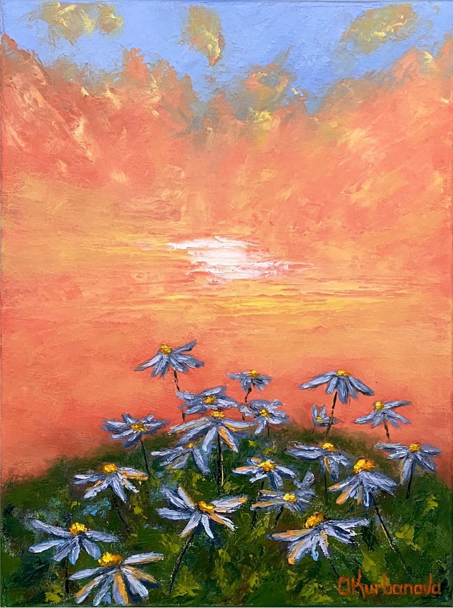 Daisy field at sunset by Olga Kurbanova