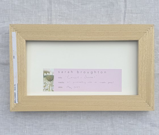 Cornwall in Summer i