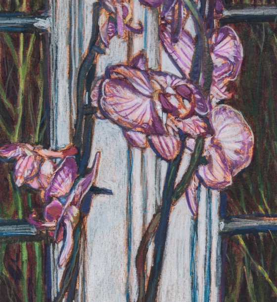 Still life with Orchids and Towel