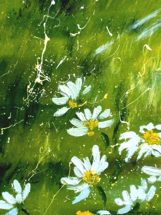 Daisy Painting Landscape Original Art Chamomile Oil Artwork Home Wall Art 12 by 16" by Halyna Kirichenko