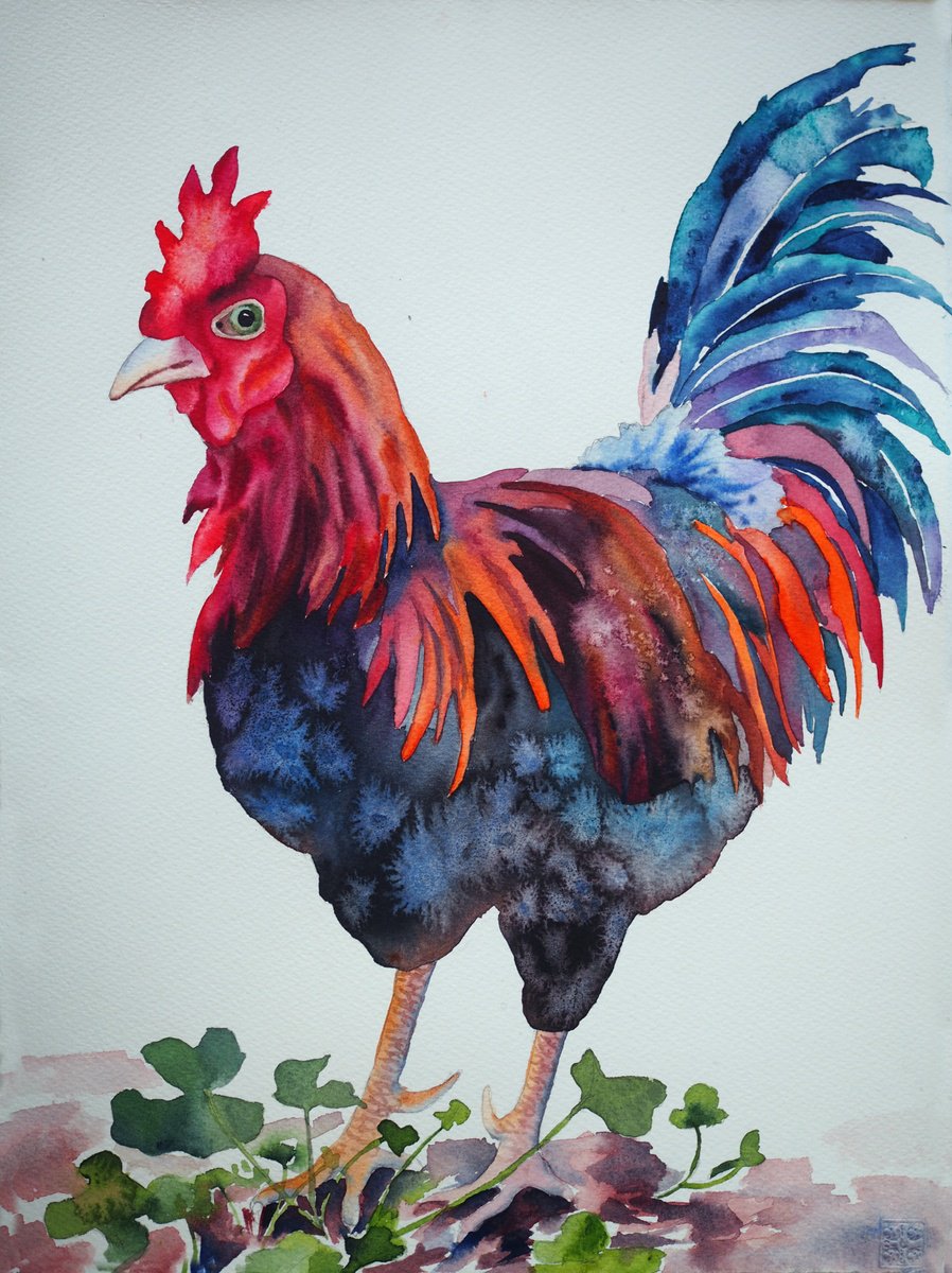 Impressionistic Animal Watercolour By Delnara El, 11 X 15, Rooster, Original Artwork