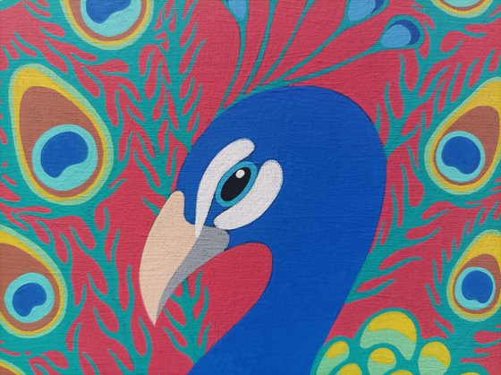 Tropical Eden n.13 - Peacock