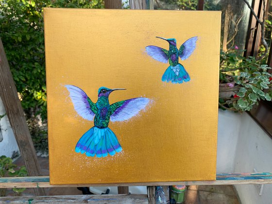 Hummingbirds in Flight