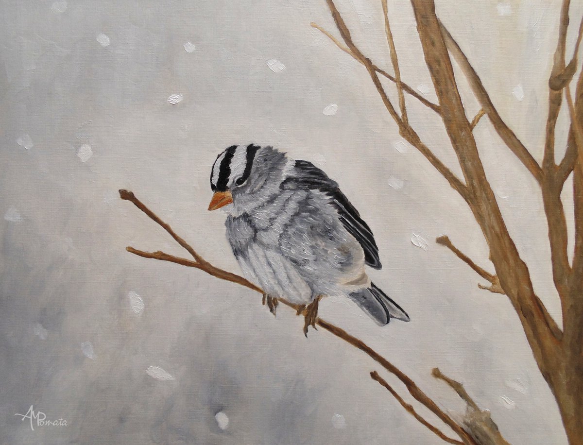 Impressionistic Animal Oil Painting By Angeles M. Pomata, 13 X 10, Blizzard Cutie, Original Artwork