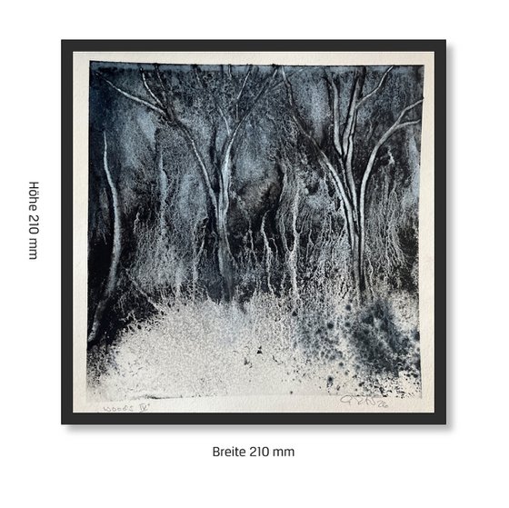 Woods IV 2026