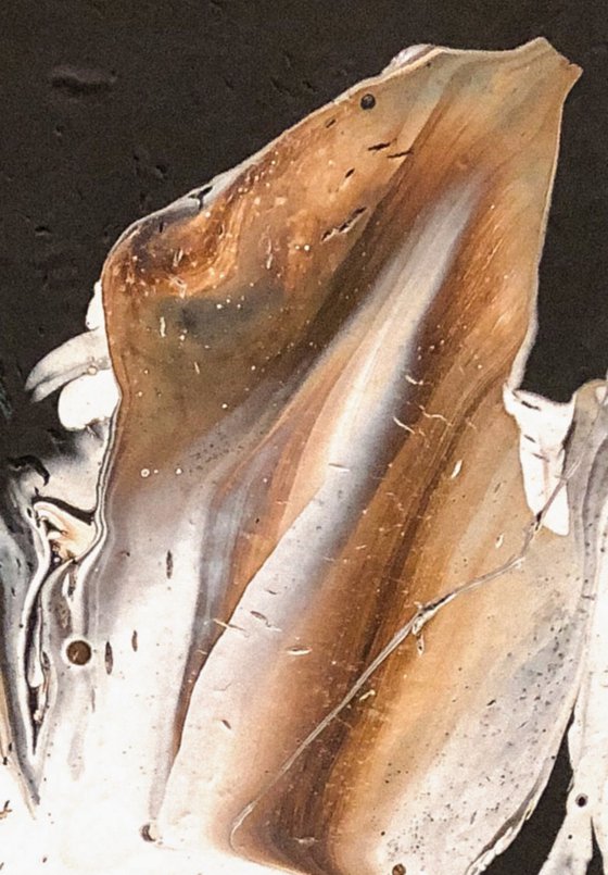 Tonnerre d’automne