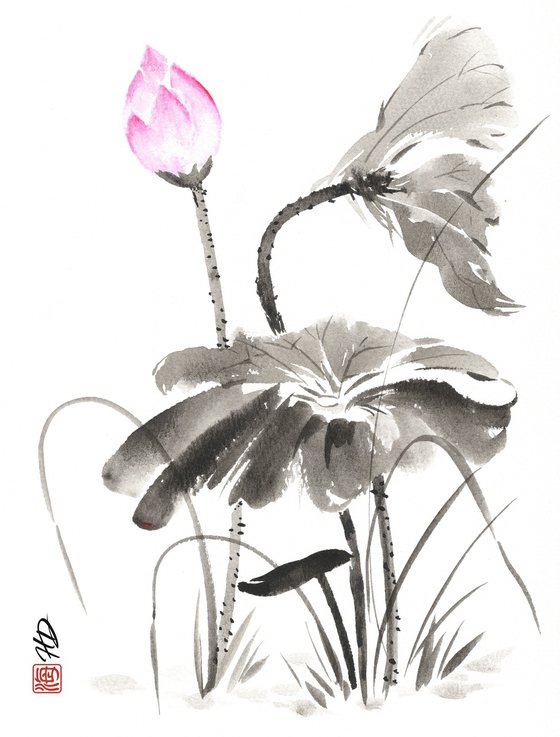 Morning Lotus Whisper