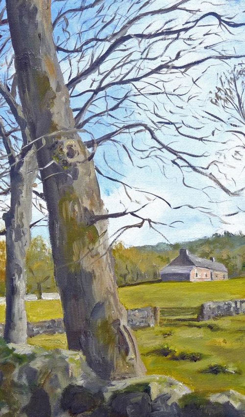 February Trees by Mike Brown