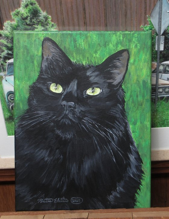 Charismatic Cat