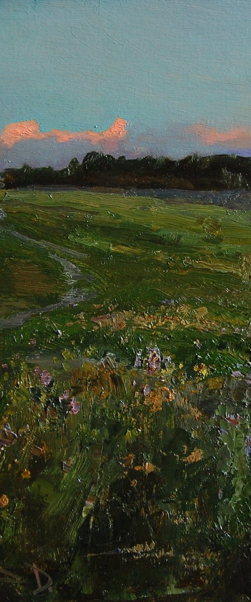 Path in the field by Denys Gorodnychyi