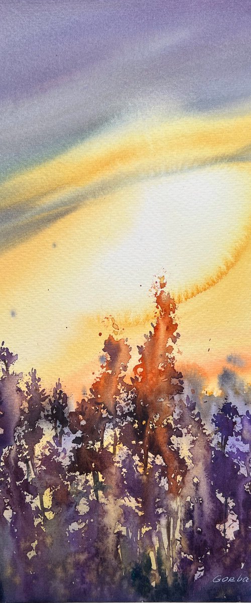 Lavender sunset by Eugenia Gorbacheva