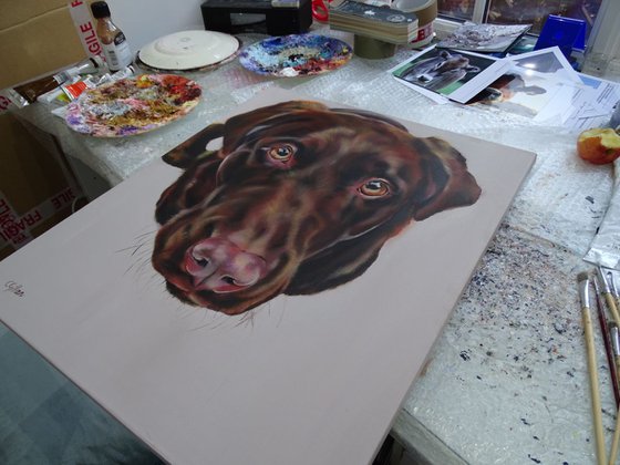 Biscuit? Red Labrador Retriever original oil on box canvas
